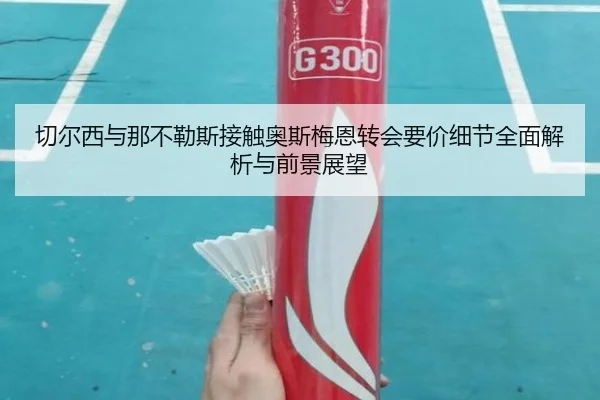 切尔西与那不勒斯接触奥斯梅恩转会要价细节全面解析与前景展望