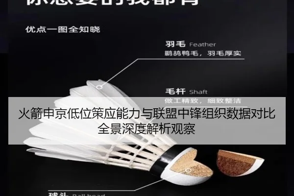 火箭申京低位策应能力与联盟中锋组织数据对比全景深度解析观察