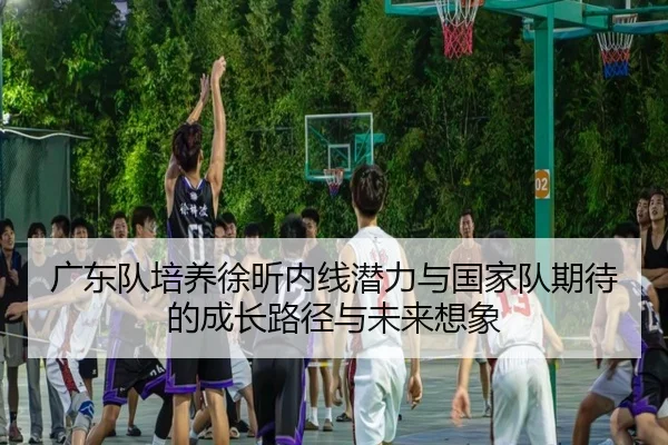广东队培养徐昕内线潜力与国家队期待的成长路径与未来想象