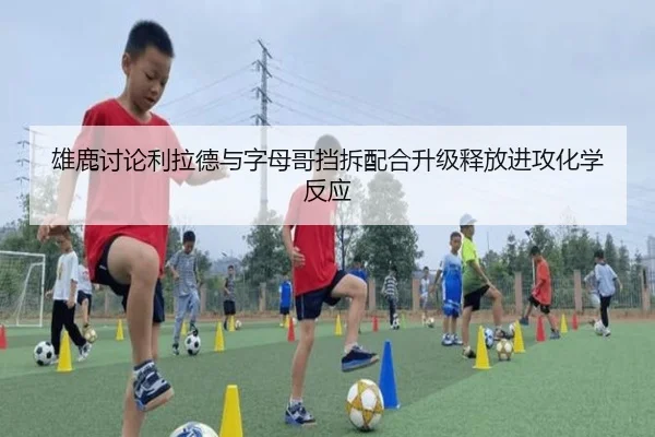 雄鹿讨论利拉德与字母哥挡拆配合升级释放进攻化学反应